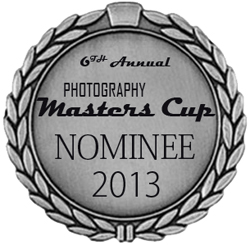 colormaster_nominee-badge